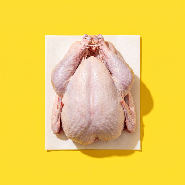 Turkey